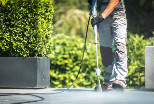 Best Animal Enclosure Cleaning  in Dano, CO